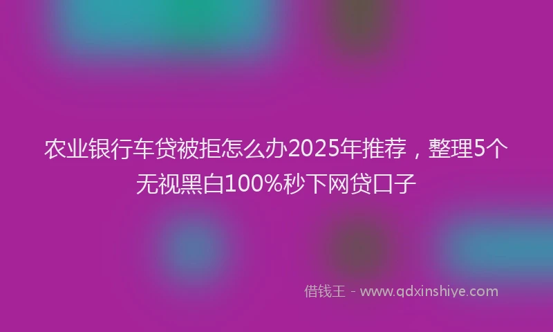 农业银行车贷被拒怎么办2025年推荐，整理5个无视黑白100%秒下网贷口子