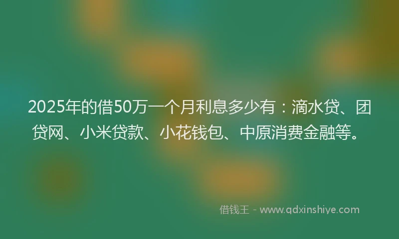 2025年的借50万一个月利息多少有：滴水贷、团贷网、小米贷款、小花钱包、中原消费金融等。