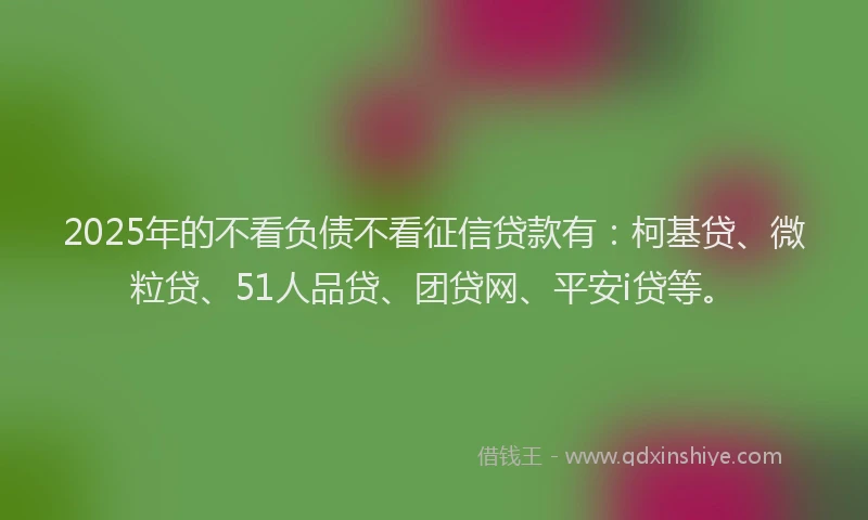 2025年的不看负债不看征信贷款有：柯基贷、微粒贷、51人品贷、团贷网、平安i贷等。
