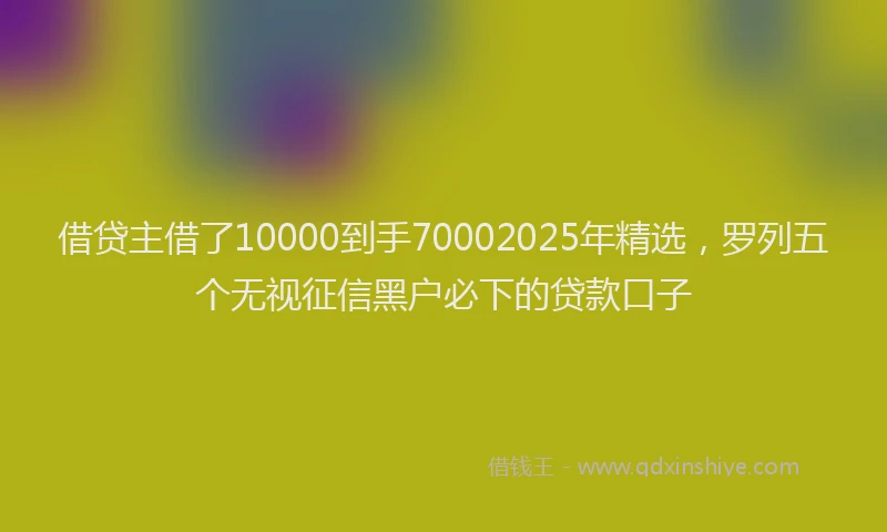 借贷主借了10000到手70002025年精选，罗列五个无视征信黑户必下的贷款口子