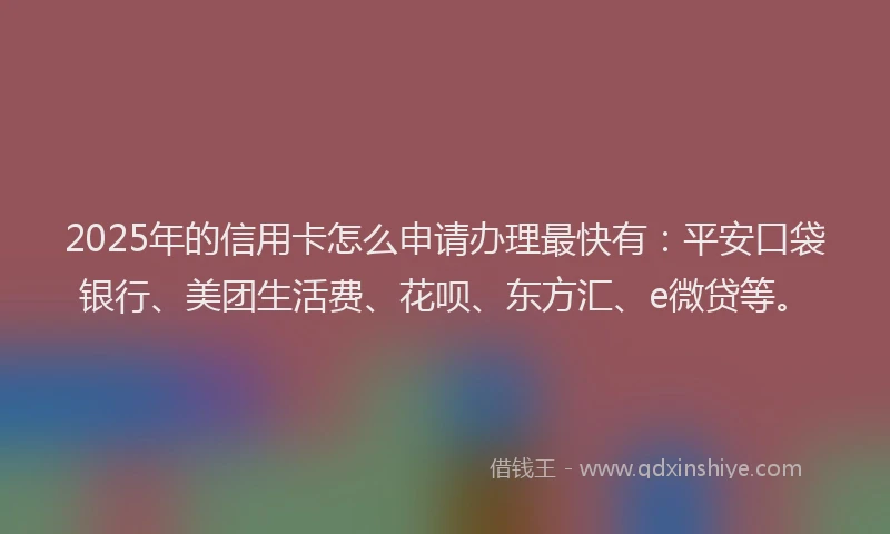 2025年的信用卡怎么申请办理最快有：平安口袋银行、美团生活费、花呗、东方汇、e微贷等。