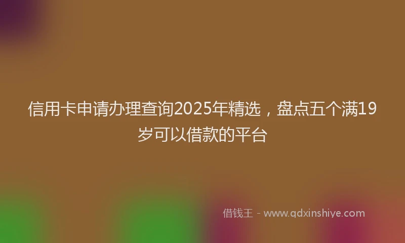 信用卡申请办理查询2025年精选，盘点五个满19岁可以借款的平台