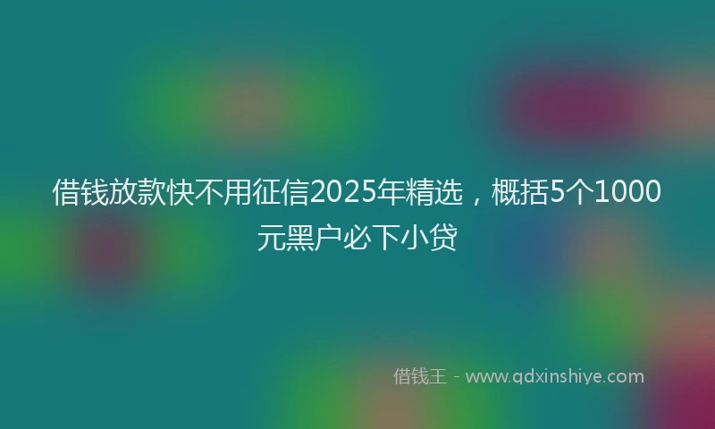 借钱放款快不用征信2025年精选，概括5个1000元黑户必下小贷