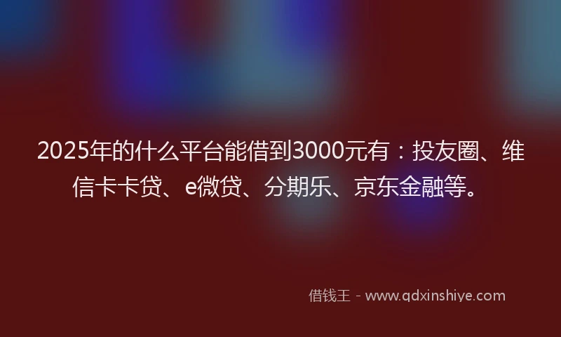 2025年的什么平台能借到3000元有：投友圈、维信卡卡贷、e微贷、分期乐、京东金融等。