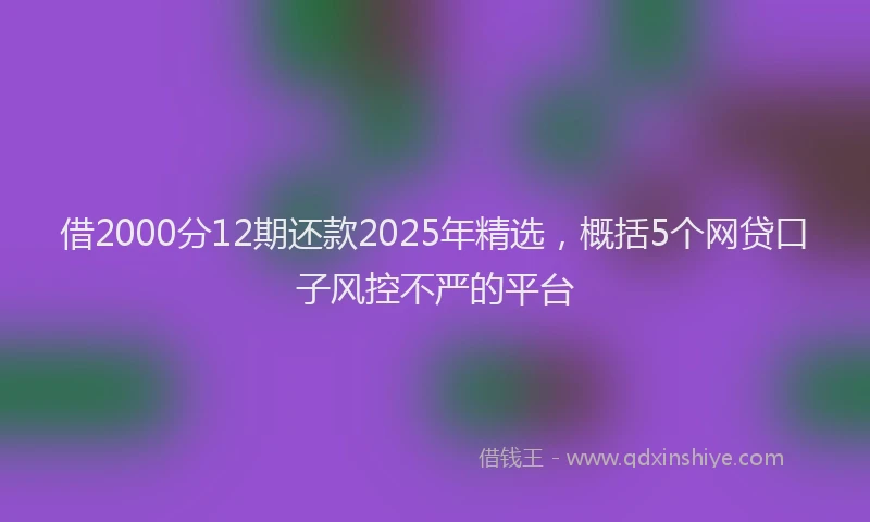 借2000分12期还款2025年精选，概括5个网贷口子风控不严的平台