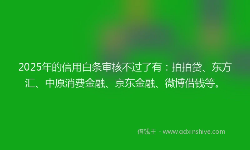 2025年的信用白条审核不过了有：拍拍贷、东方汇、中原消费金融、京东金融、微博借钱等。