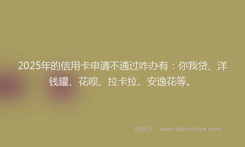 2025年的信用卡申请不通过咋办有：你我贷、洋钱罐、花呗、拉卡拉、安逸花等。