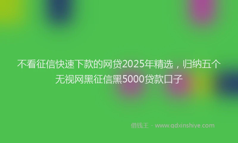 不看征信快速下款的网贷2025年精选，归纳五个无视网黑征信黑5000贷款口子