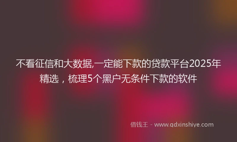 不看征信和大数据,一定能下款的贷款平台2025年精选，梳理5个黑户无条件下款的软件