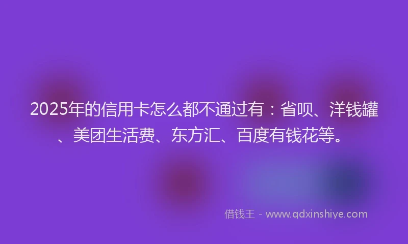 2025年的信用卡怎么都不通过有：省呗、洋钱罐、美团生活费、东方汇、百度有钱花等。