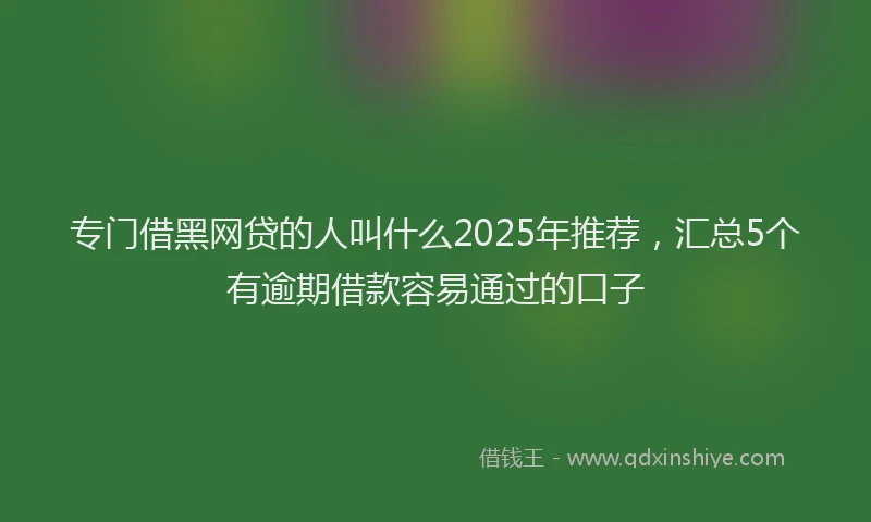 专门借黑网贷的人叫什么2025年推荐，汇总5个有逾期借款容易通过的口子