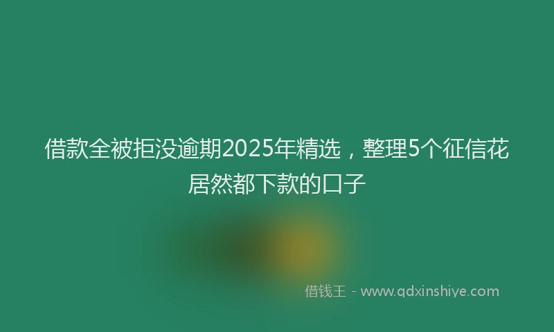 借款全被拒没逾期2025年精选，整理5个征信花居然都下款的口子