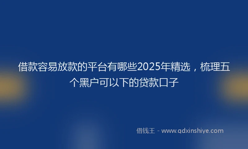 借款容易放款的平台有哪些2025年精选，梳理五个黑户可以下的贷款口子