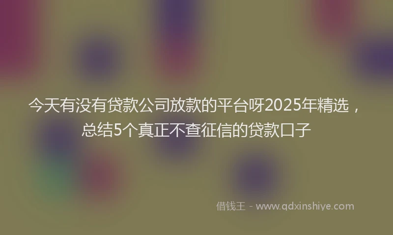 今天有没有贷款公司放款的平台呀2025年精选，总结5个真正不查征信的贷款口子