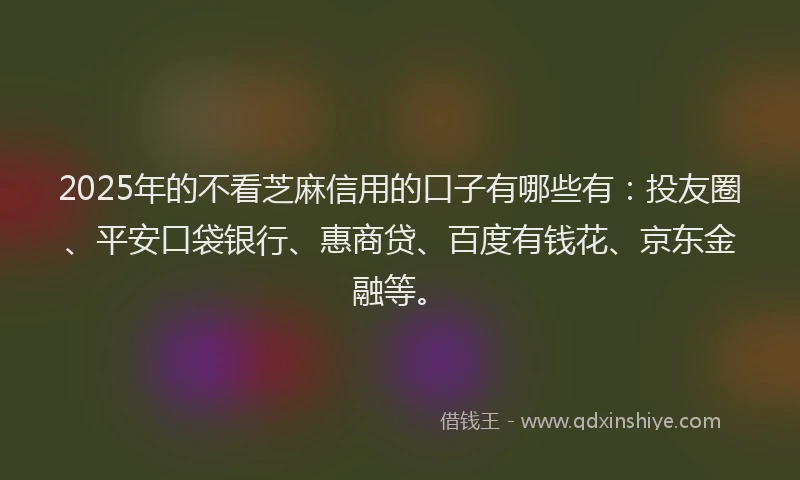2025年的不看芝麻信用的口子有哪些有：投友圈、平安口袋银行、惠商贷、百度有钱花、京东金融等。