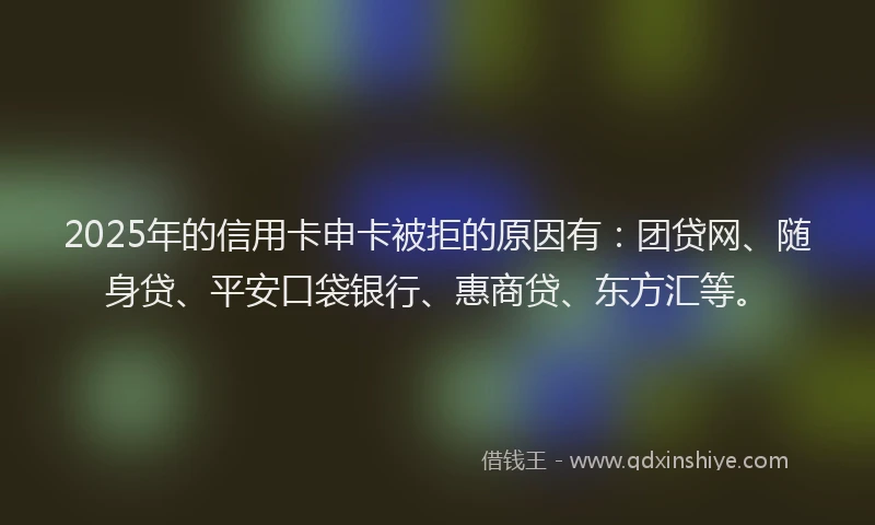 2025年的信用卡申卡被拒的原因有：团贷网、随身贷、平安口袋银行、惠商贷、东方汇等。