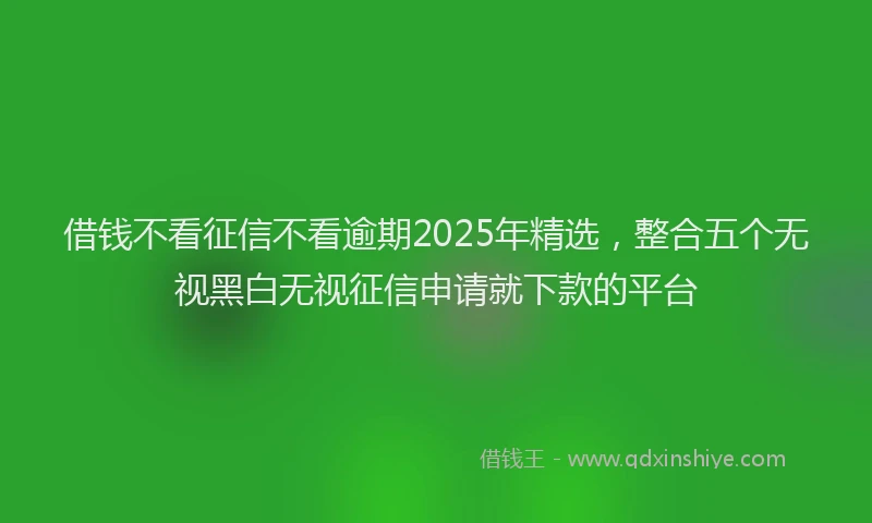 借钱不看征信不看逾期2025年精选，整合五个无视黑白无视征信申请就下款的平台