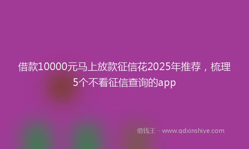 借款10000元马上放款征信花2025年推荐，梳理5个不看征信查询的app