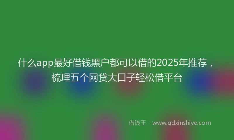 什么app最好借钱黑户都可以借的2025年推荐，梳理五个网贷大口子轻松借平台