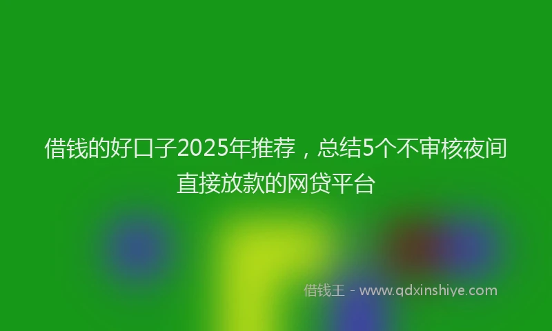 借钱的好口子2025年推荐，总结5个不审核夜间直接放款的网贷平台