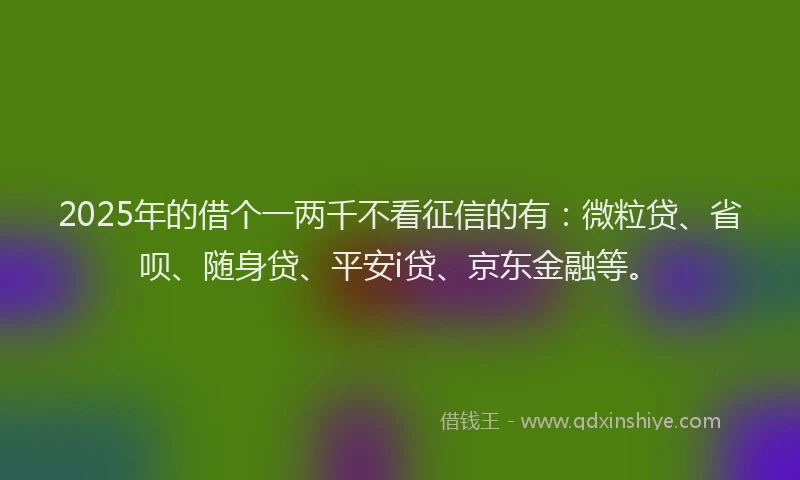 2025年的借个一两千不看征信的有：微粒贷、省呗、随身贷、平安i贷、京东金融等。