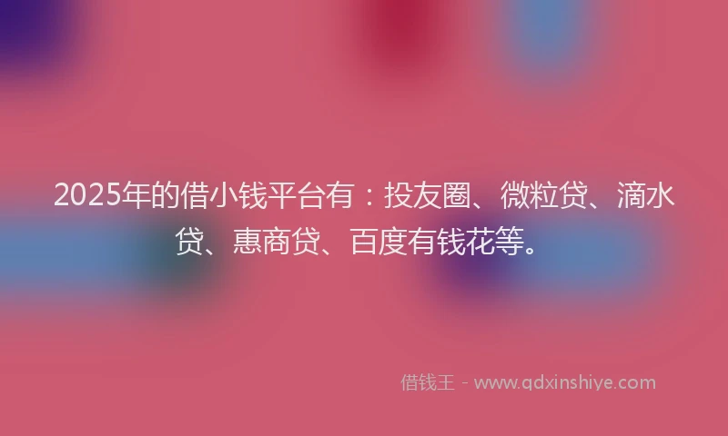 2025年的借小钱平台有：投友圈、微粒贷、滴水贷、惠商贷、百度有钱花等。
