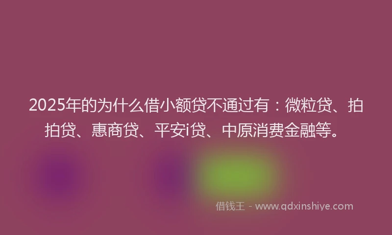2025年的为什么借小额贷不通过有：微粒贷、拍拍贷、惠商贷、平安i贷、中原消费金融等。