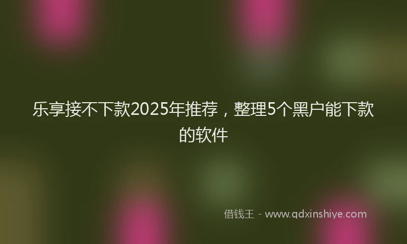 乐享接不下款2025年推荐，整理5个黑户能下款的软件