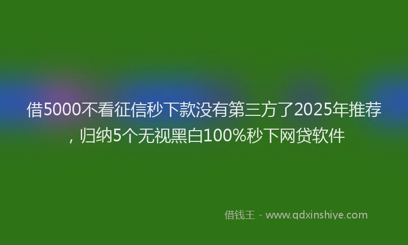 借5000不看征信秒下款没有第三方了2025年推荐，归纳5个无视黑白100%秒下网贷软件