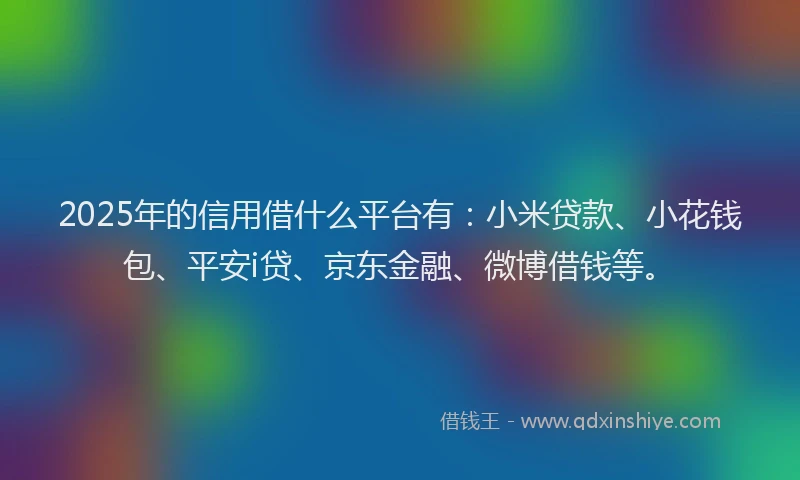 2025年的信用借什么平台有：小米贷款、小花钱包、平安i贷、京东金融、微博借钱等。