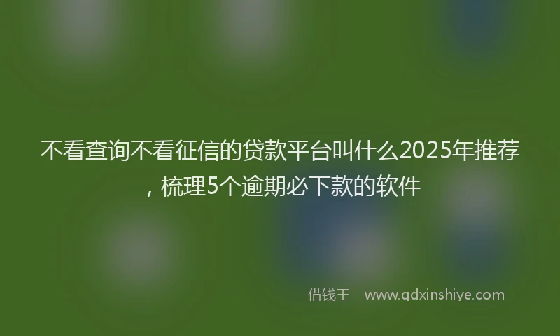 不看查询不看征信的贷款平台叫什么2025年推荐，梳理5个逾期必下款的软件