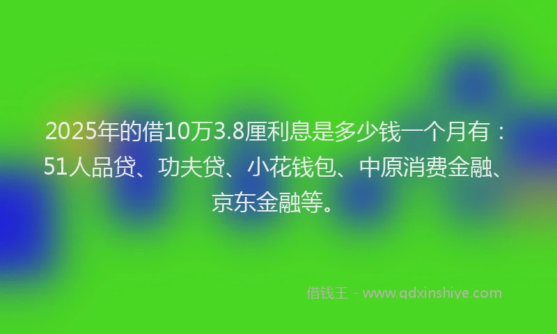2025年的借10万3.8厘利息是多少钱一个月有：51人品贷、功夫贷、小花钱包、中原消费金融、京东金融等。