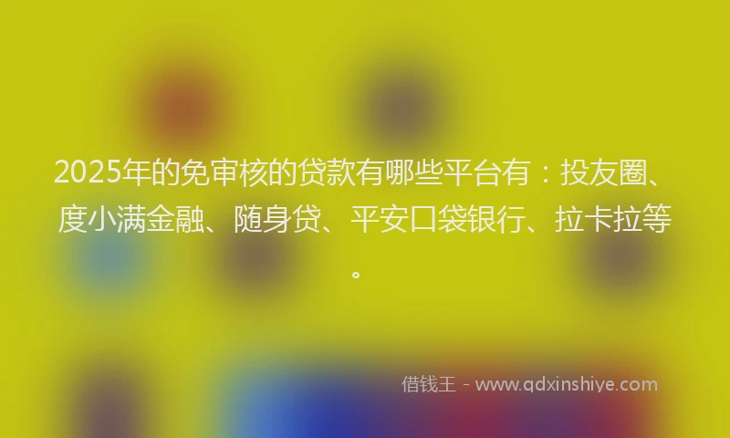 2025年的免审核的贷款有哪些平台有：投友圈、度小满金融、随身贷、平安口袋银行、拉卡拉等。