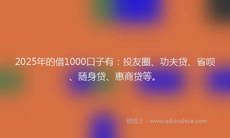 2025年的借1000口子有：投友圈、功夫贷、省呗、随身贷、惠商贷等。