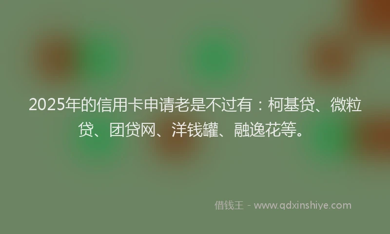 2025年的信用卡申请老是不过有：柯基贷、微粒贷、团贷网、洋钱罐、融逸花等。