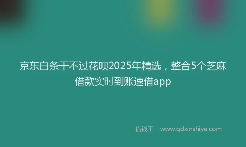 京东白条干不过花呗2025年精选，整合5个芝麻借款实时到账速借app