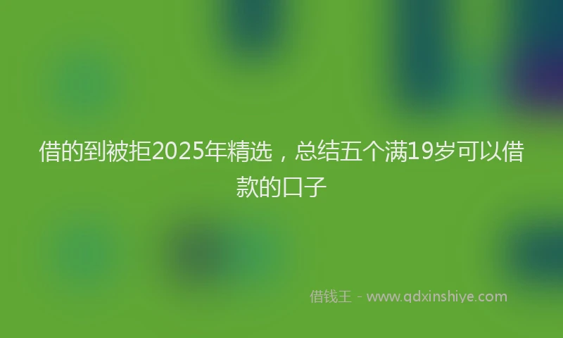 借的到被拒2025年精选，总结五个满19岁可以借款的口子