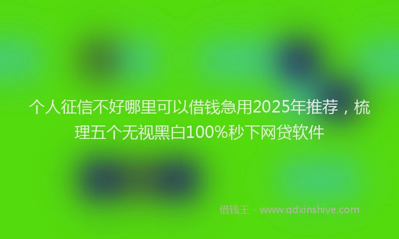 个人征信不好哪里可以借钱急用2025年推荐，梳理五个无视黑白100%秒下网贷软件