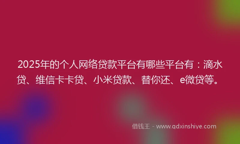 2025年的个人网络贷款平台有哪些平台有：滴水贷、维信卡卡贷、小米贷款、替你还、e微贷等。