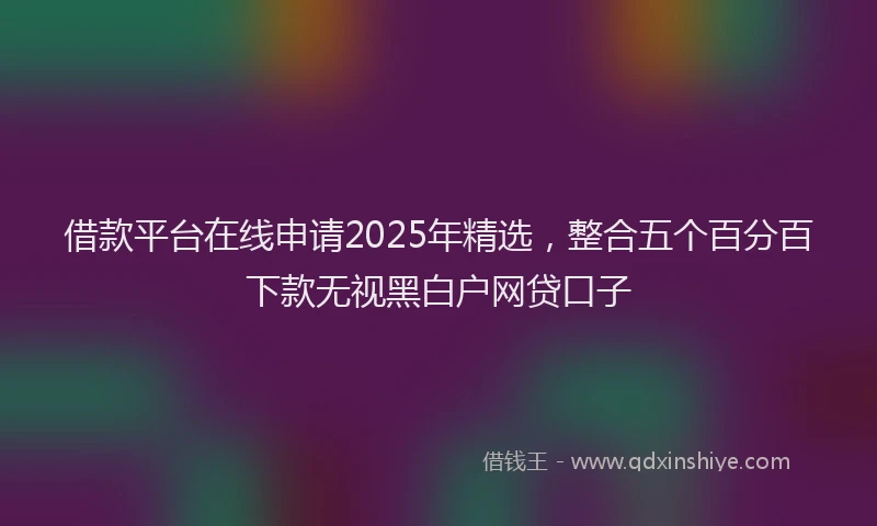 借款平台在线申请2025年精选，整合五个百分百下款无视黑白户网贷口子