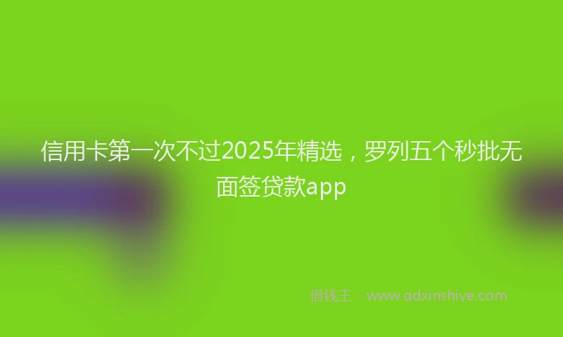信用卡第一次不过2025年精选，罗列五个秒批无面签贷款app