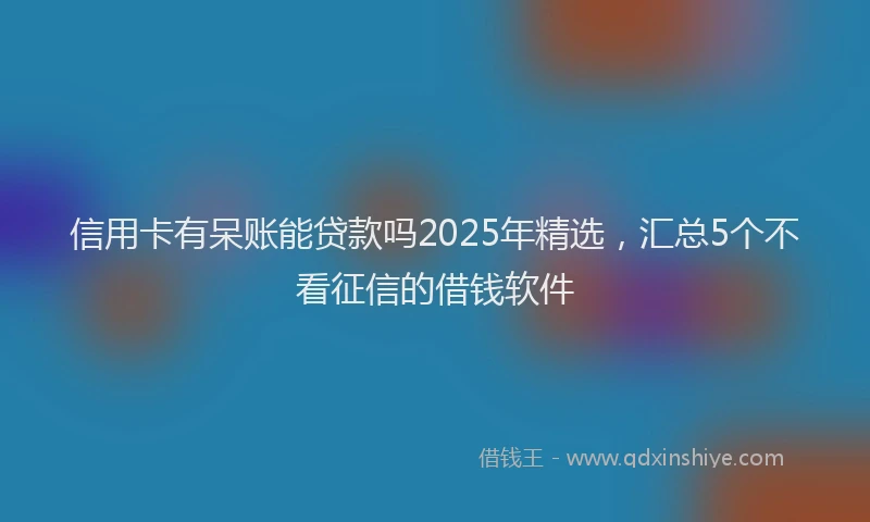 信用卡有呆账能贷款吗2025年精选，汇总5个不看征信的借钱软件