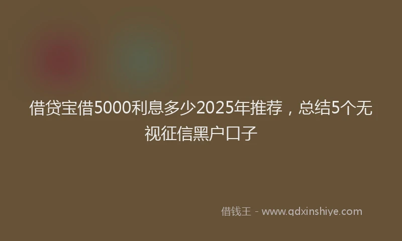 借贷宝借5000利息多少2025年推荐，总结5个无视征信黑户口子