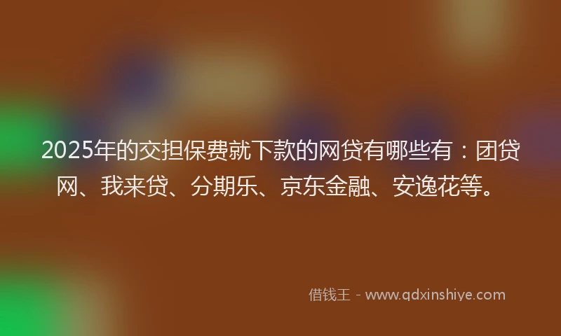 2025年的交担保费就下款的网贷有哪些有：团贷网、我来贷、分期乐、京东金融、安逸花等。