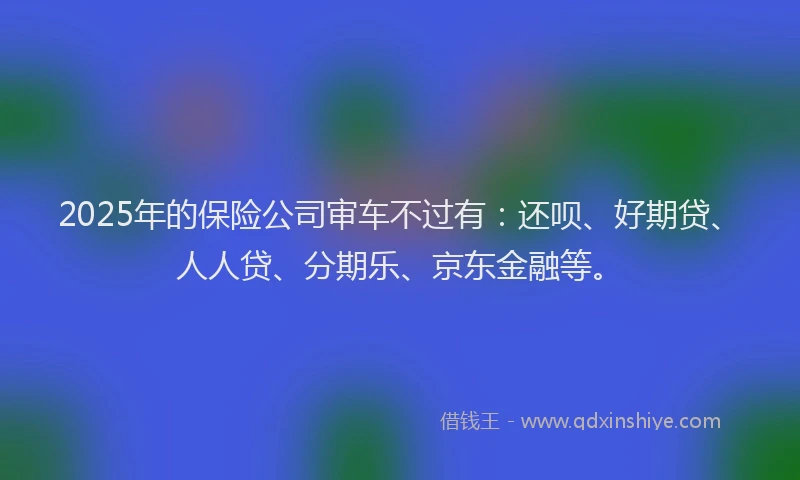 2025年的保险公司审车不过有：还呗、好期贷、人人贷、分期乐、京东金融等。
