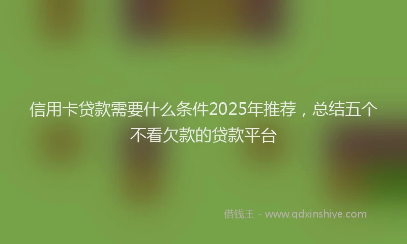 信用卡贷款需要什么条件2025年推荐，总结五个不看欠款的贷款平台