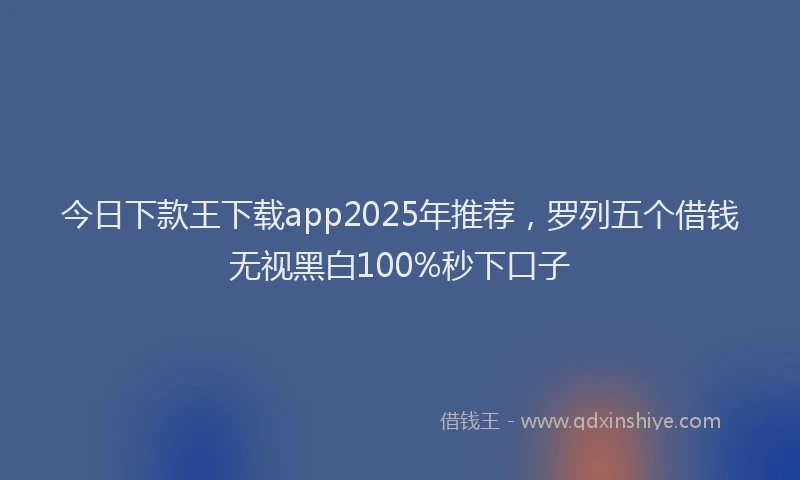 今日下款王下载app2025年推荐，罗列五个借钱无视黑白100%秒下口子