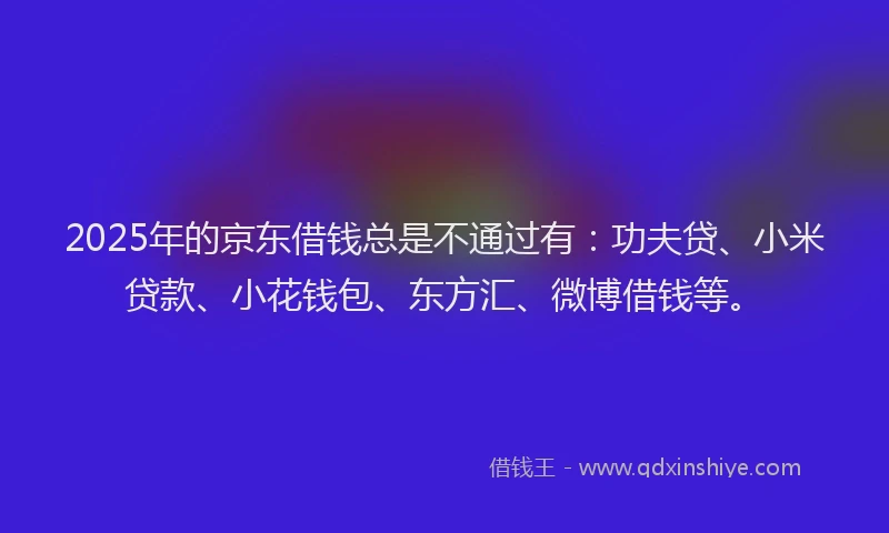 2025年的京东借钱总是不通过有：功夫贷、小米贷款、小花钱包、东方汇、微博借钱等。