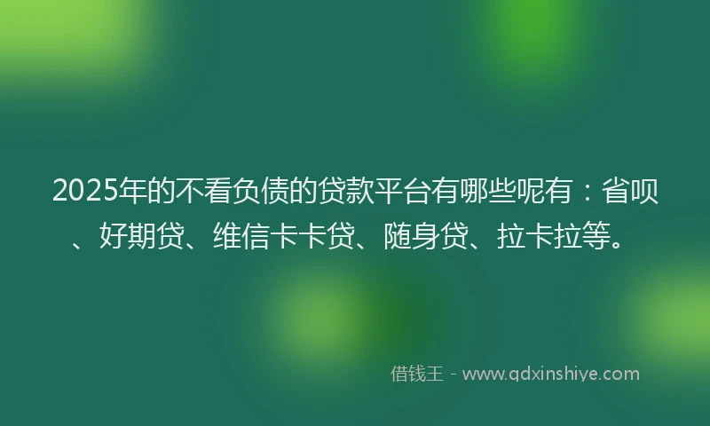 2025年的不看负债的贷款平台有哪些呢有：省呗、好期贷、维信卡卡贷、随身贷、拉卡拉等。
