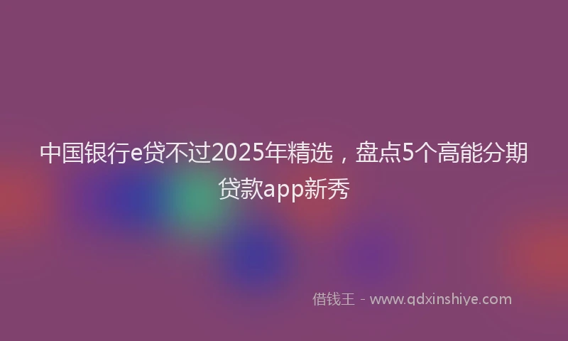 中国银行e贷不过2025年精选，盘点5个高能分期贷款app新秀